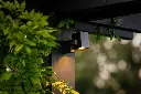 Quartz 1.webp