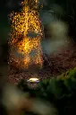 Agate 1.webp